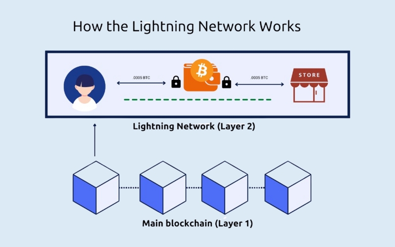 The Lightning Network's functionality relies on the creation of bi-directional payment channels between users