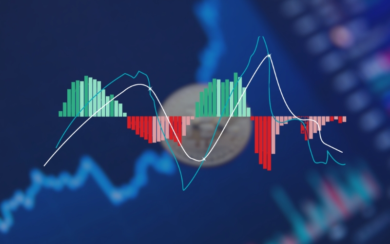 This high volatility of Bitcoin is what attracts many traders, but it's also what makes it incredibly risky, especially for newcomers