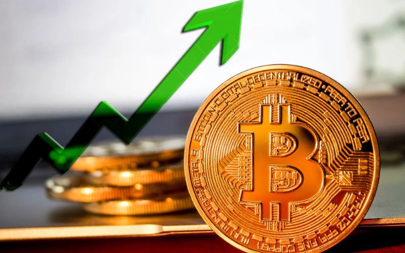 This historical context demonstrates that while Bitcoin is volatile, it has shown long-term upward momentum