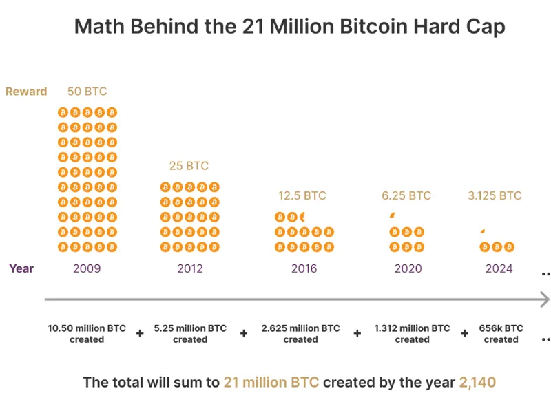 Use Bitcoin as a Long-Term Store of Value
