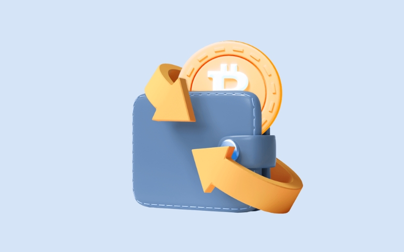 Wallet and Custody Costs are also Other Costs Associated with Bitcoin that investors need to consider