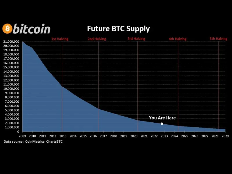 What is the current Bitcoin price in US Dollars affected by the supply and demand of Bitcoin