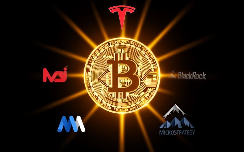 Increased interest from firms like Tesla and BlackRock has helped legitimize Bitcoin as a mainstream asset