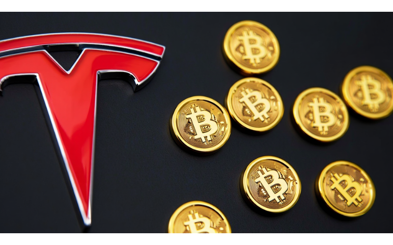 How Much Bitcoin Does Tesla Own in 2025
