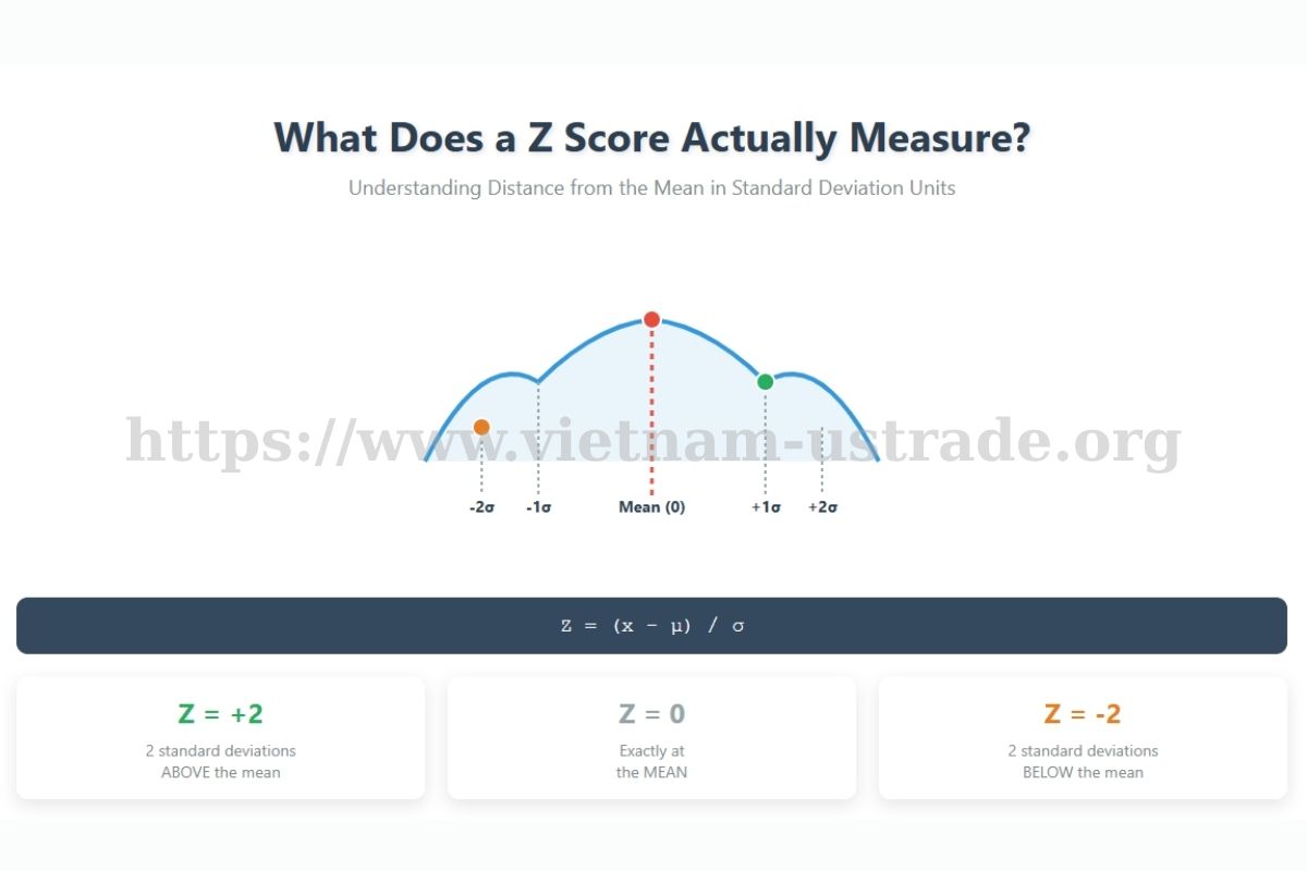 What Does a Z Score Actually Measure